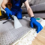 Mastering Carpet Cleaning: Professional Tips and Techniques